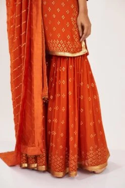 Nakul Sen Organge Chiffon Sharara With Bandhej Sequins Work -Echo Clohting Shop 1001 4 1
