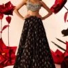 Bhumika Sharma Black Rosette Printed Lehenga Set