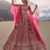 Anushree Reddy Red & Pink Amaaya Lehenga Set