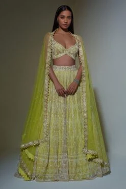 Ritika Mirchandani Lime Green Geometric Embroidered Lehenga Set