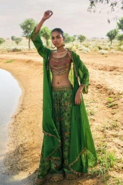 Punit Balana Ranthambhor Sharara Set