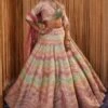 Simar Dugal Pink & Green Sitara Lehenga Set