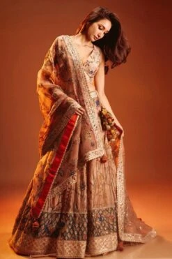 Archana Jaju Red Crown Lehenga Set -Echo Clohting Shop 1423aac3 3