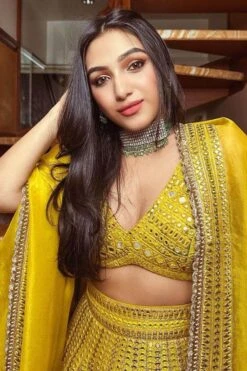 Archana Jaju Mustard Kalamkari & Mirror Work Lehenga Set -Echo Clohting Shop 1423aac5 3