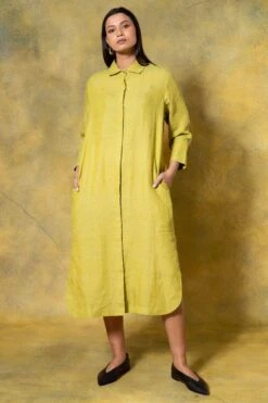 Divyam Mehta Green Buttoned Down Midi Dress