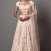 Mala And Kinnary Radiant Pink Pearl & Sequin Adorned Lehenga Set