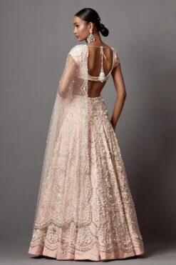 Mala And Kinnary Radiant Pink Pearl & Sequin Adorned Lehenga Set -Echo Clohting Shop 16124mk10 5