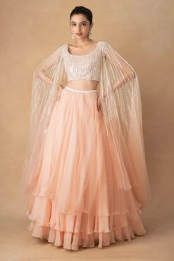 Ahilian Blush Floral Organza Lehenga Set