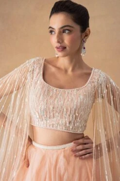 Ahilian Blush Floral Organza Lehenga Set 8 Ahilian Blush Floral Organza Lehenga Set -Echo Clohting Shop 18124an2 4