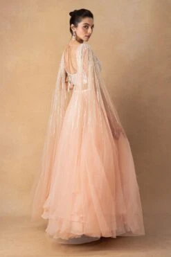 Ahilian Blush Floral Organza Lehenga Set 9 Ahilian Blush Floral Organza Lehenga Set -Echo Clohting Shop 18124an2 5