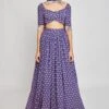 Aisha Rao Blue Trendcadis Embellished Lehenga Set