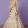 Anushree Reddy Ivory Mahal Lehenga Set