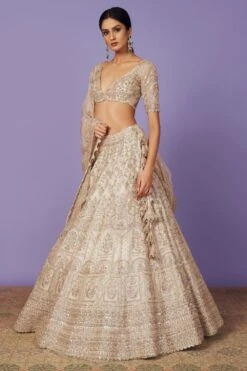 Anushree Reddy Ivory Mahal Lehenga Set