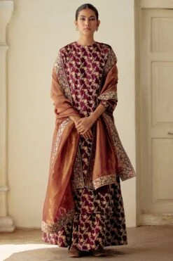 Mimamsaa Laxita Woven & Embroidered Sharara Set