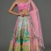 Payal Singhal Pink Tropical Printed Lehenga Set