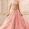 Tarun Tahiliani Pink Draped Handloom Lehenga Set