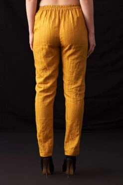 Amrich Zoya Metallic Trousers -Echo Clohting Shop 25923aml72 4