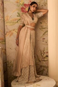 Ridhi Mehra Champagne Embellished Lehenga Set