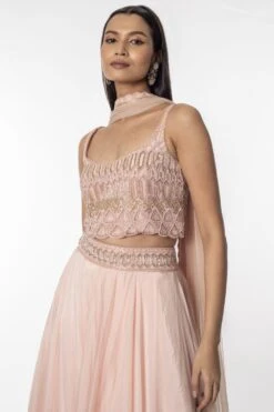 Ritika Mirchandani Pink Embellished Lehenga Set -Echo Clohting Shop 279rk2 4