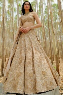 Mishru Bronze Embroidered Lehenga Set