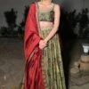 Punit Balana Green Printed Lehenga Set