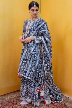 Simar Dugal Gulmohar Blue Sharara Set