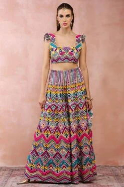 Payal Singhal Multicoloured Embellished Sharara Set
