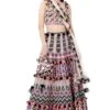 Payal Singhal Multicolour Embellished Lehenga Set