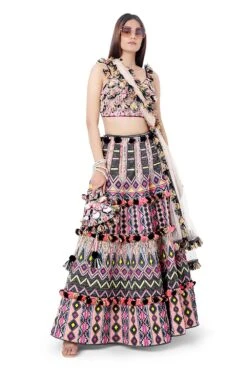 Payal Singhal Multicolour Embellished Lehenga Set