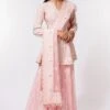 Devika Bhayana Pink Embroidered Sharara Set
