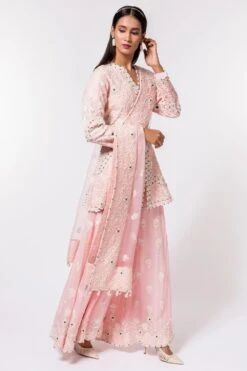 Devika Bhayana Pink Embroidered Sharara Set -Echo Clohting Shop 44db3 3 1