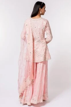 Devika Bhayana Pink Embroidered Sharara Set -Echo Clohting Shop 44db3 5 1