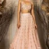 Ritika Mirchandani Peach Embellished Lehenga Set