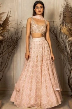 Ritika Mirchandani Peach Embellished Lehenga Set