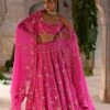 Deep Thee Fuchsia Hand Embroidered Lehenga Set