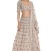 Payal Singhal Rose Pink Georgette Embroidered Lehenga Set