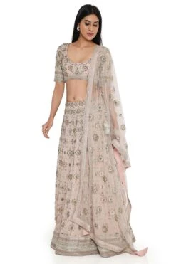 Payal Singhal Rose Pink Georgette Embroidered Lehenga Set -Echo Clohting Shop 8923ps6 3