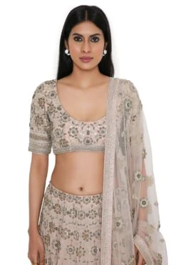 Payal Singhal Rose Pink Georgette Embroidered Lehenga Set -Echo Clohting Shop 8923ps6 4