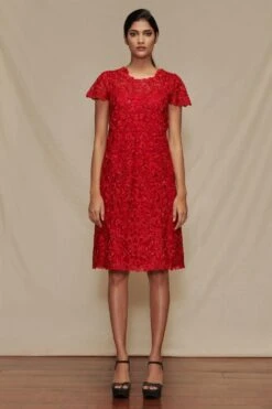 Shriya Som Red Embroidered Shift Dress