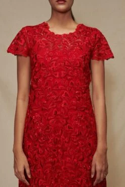 Shriya Som Red Embroidered Shift Dress -Echo Clohting Shop 912ss20 3