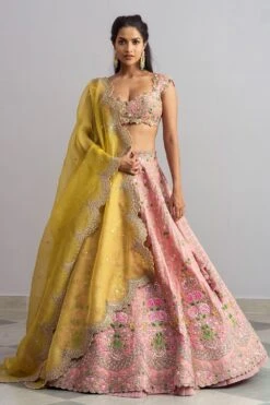Anushree Reddy Vintage Rose Pink Embellished Lehenga Set