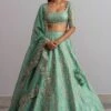 Anushree Reddy Sea Green Organza Lehenga Set