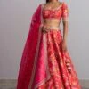 Anushree Reddy Cherry Red Floral Lehenga Set
