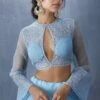 Torani Sky Blue Tulle Aari Work Blouse