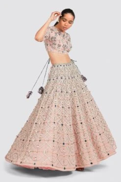 Payal Singhal Choli And Lehenga Set In Blush Pink -Echo Clohting Shop ps fw726 2 1