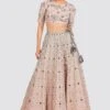 Payal Singhal Choli And Lehenga Set In Blush Pink