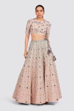 Payal Singhal Choli And Lehenga Set In Blush Pink