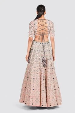 Payal Singhal Choli And Lehenga Set In Blush Pink -Echo Clohting Shop ps fw726 5 1