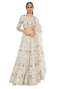 Payal Singhal Stone Colour Embroidered Lehenga Set