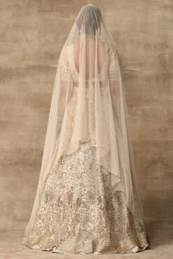 Ridhi Mehra Fiza Paisely Embroidered Lehenga Set 7 Ridhi Mehra Fiza Paisely Embroidered Lehenga Set -Echo Clohting Shop rmwd 04 4